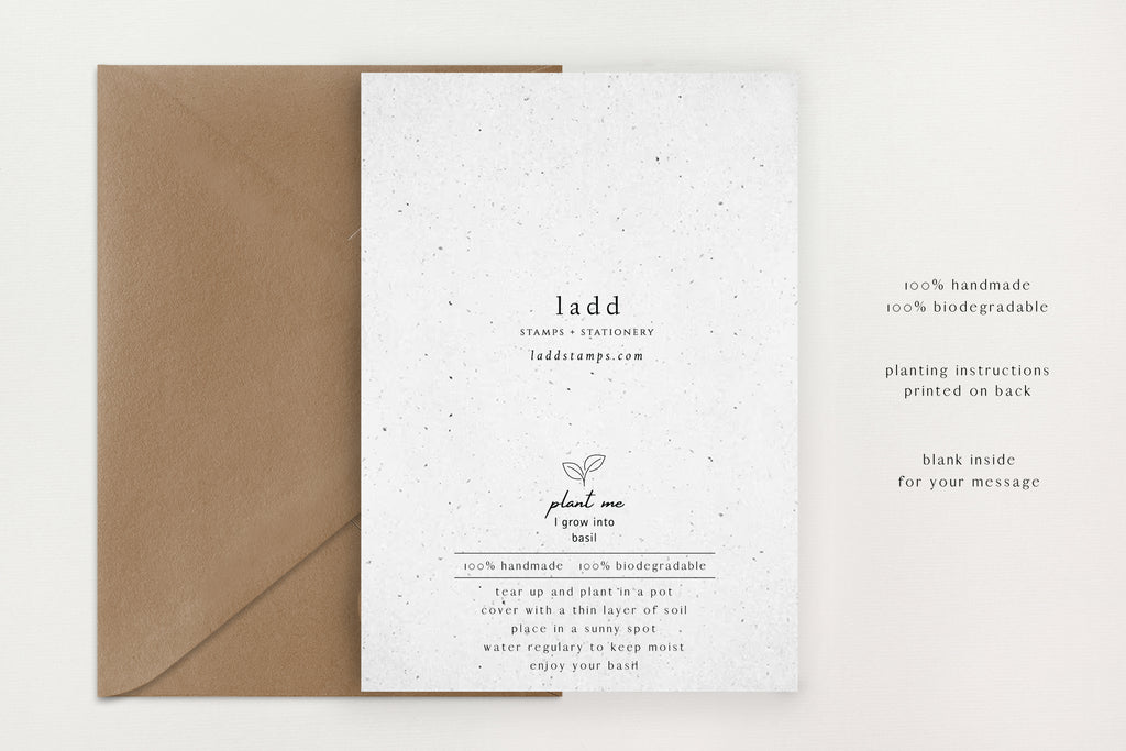 Seeded Christmas Cards (Swiftmas) - All Too Well