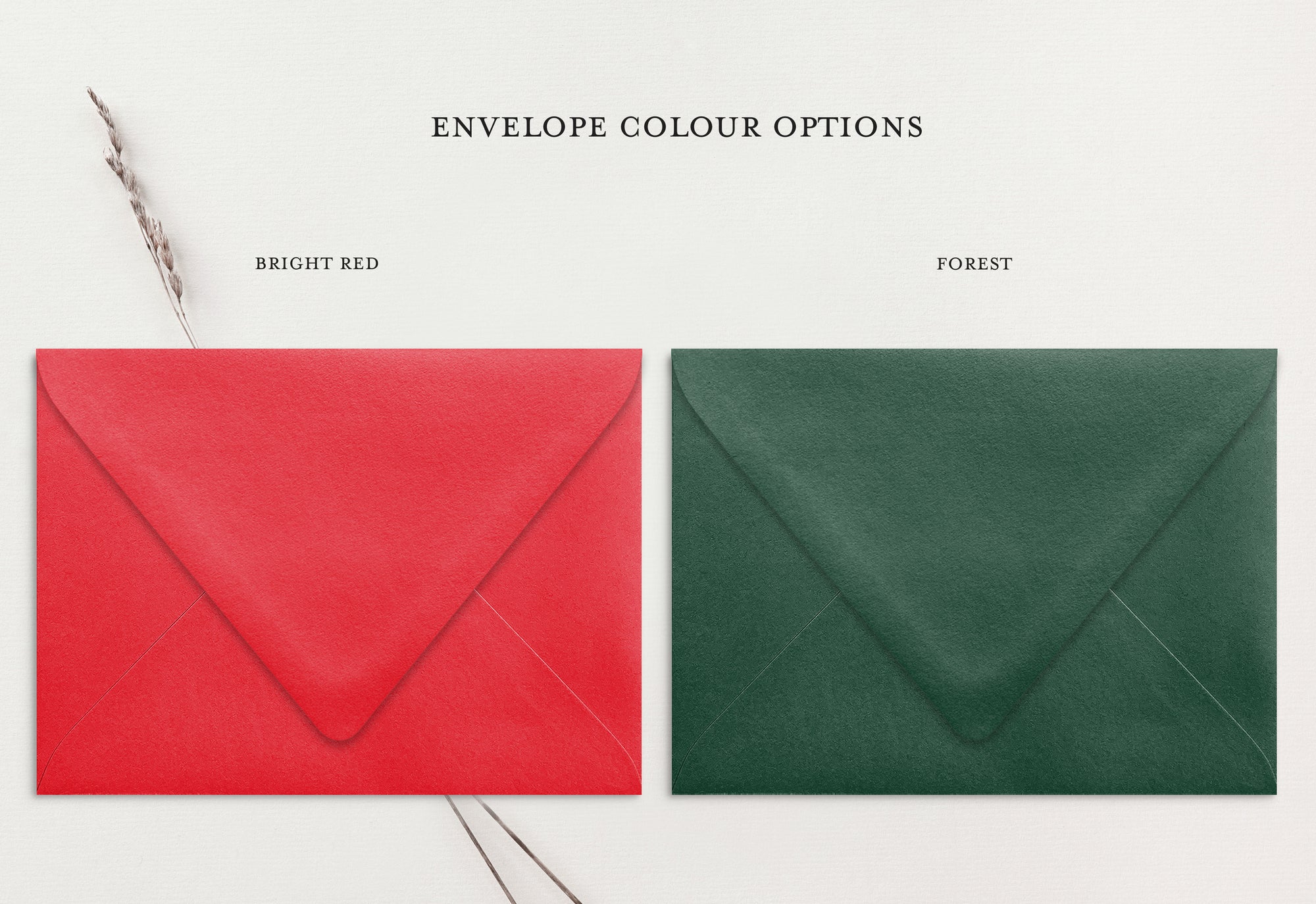 Custom Christmas Card (pack of 30) - Wallaces