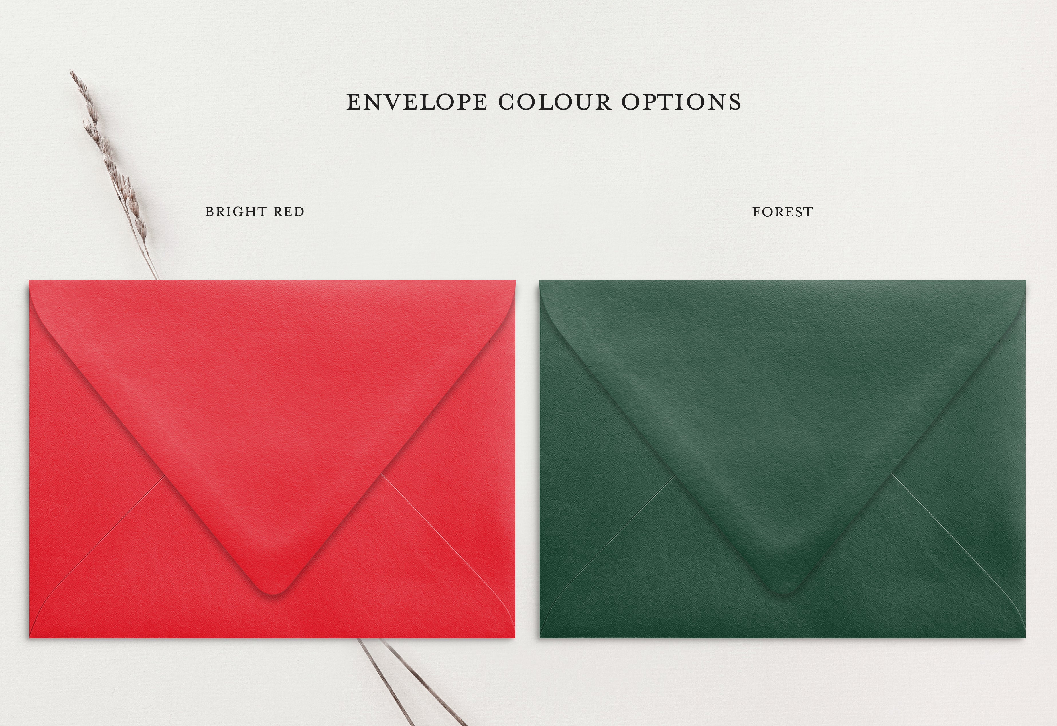 Custom Christmas Card (pack of 30) - Wallaces