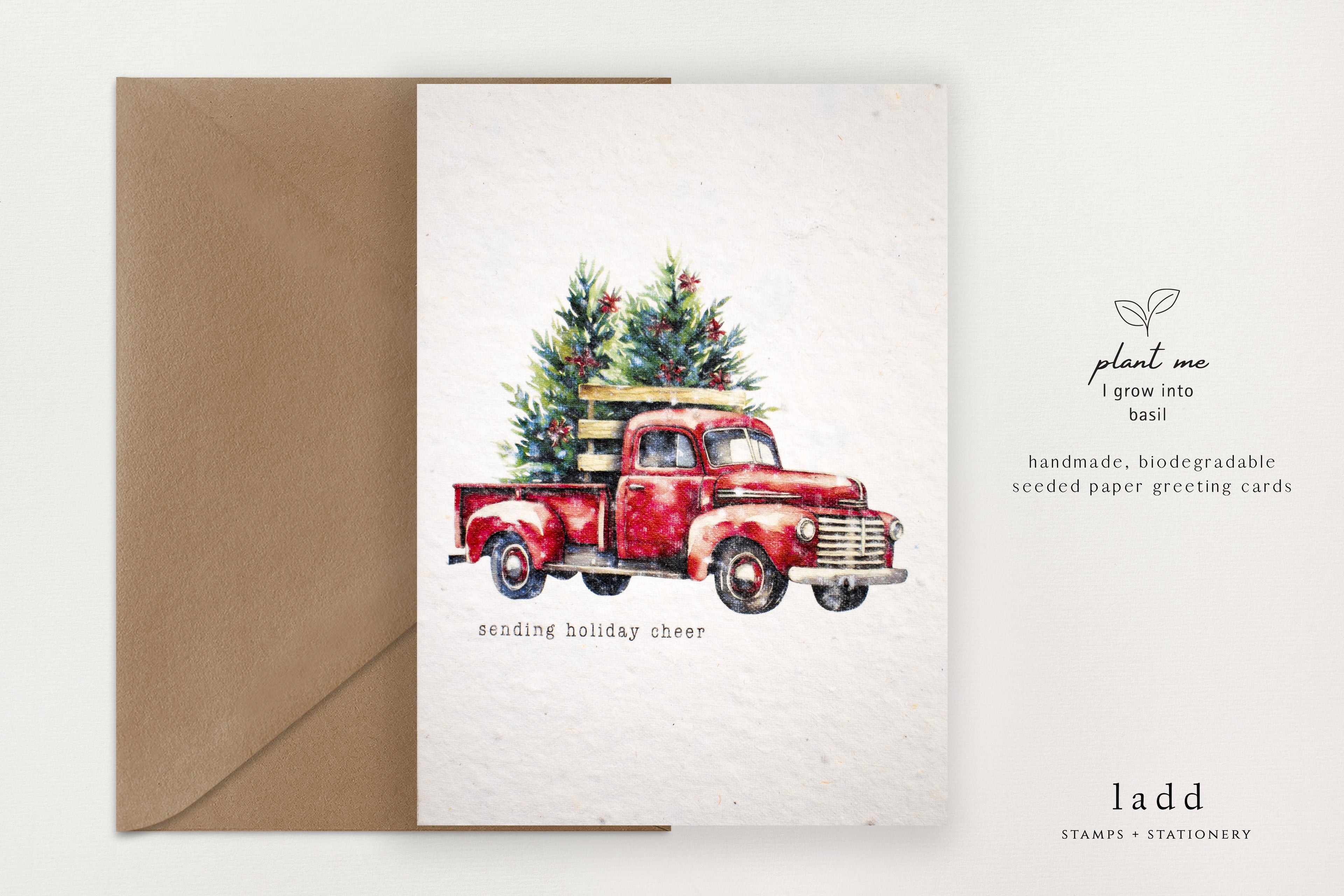 Seeded Christmas Cards (Rustic) - Holiday Cheer