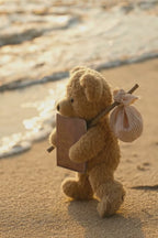 Passport Holder - Oh The Places