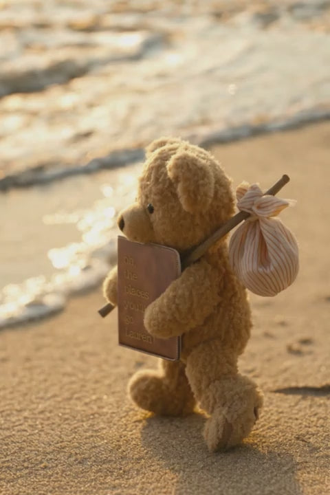 Passport Holder - Oh The Places