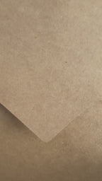 Seeded Christmas Card (Gold Foil Print) - Holiday Mittens