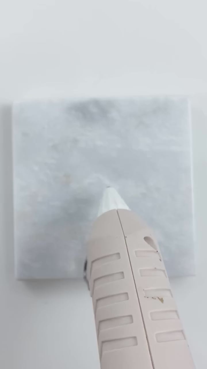 Wax Stamp - Citrus