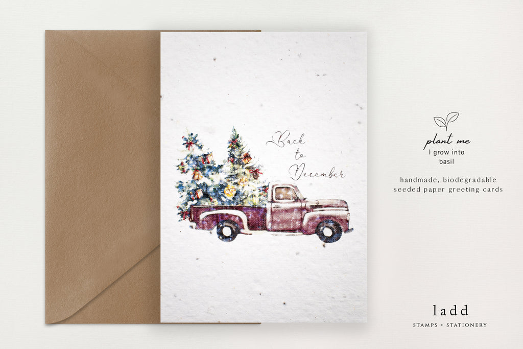 Seeded Christmas Cards (Swiftmas) - Back to December