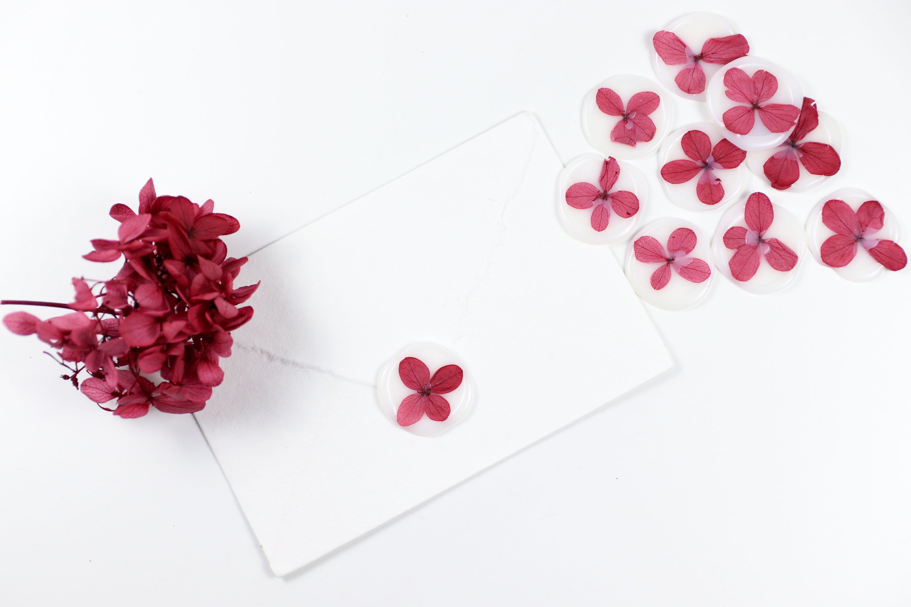 Hydrangea - Red