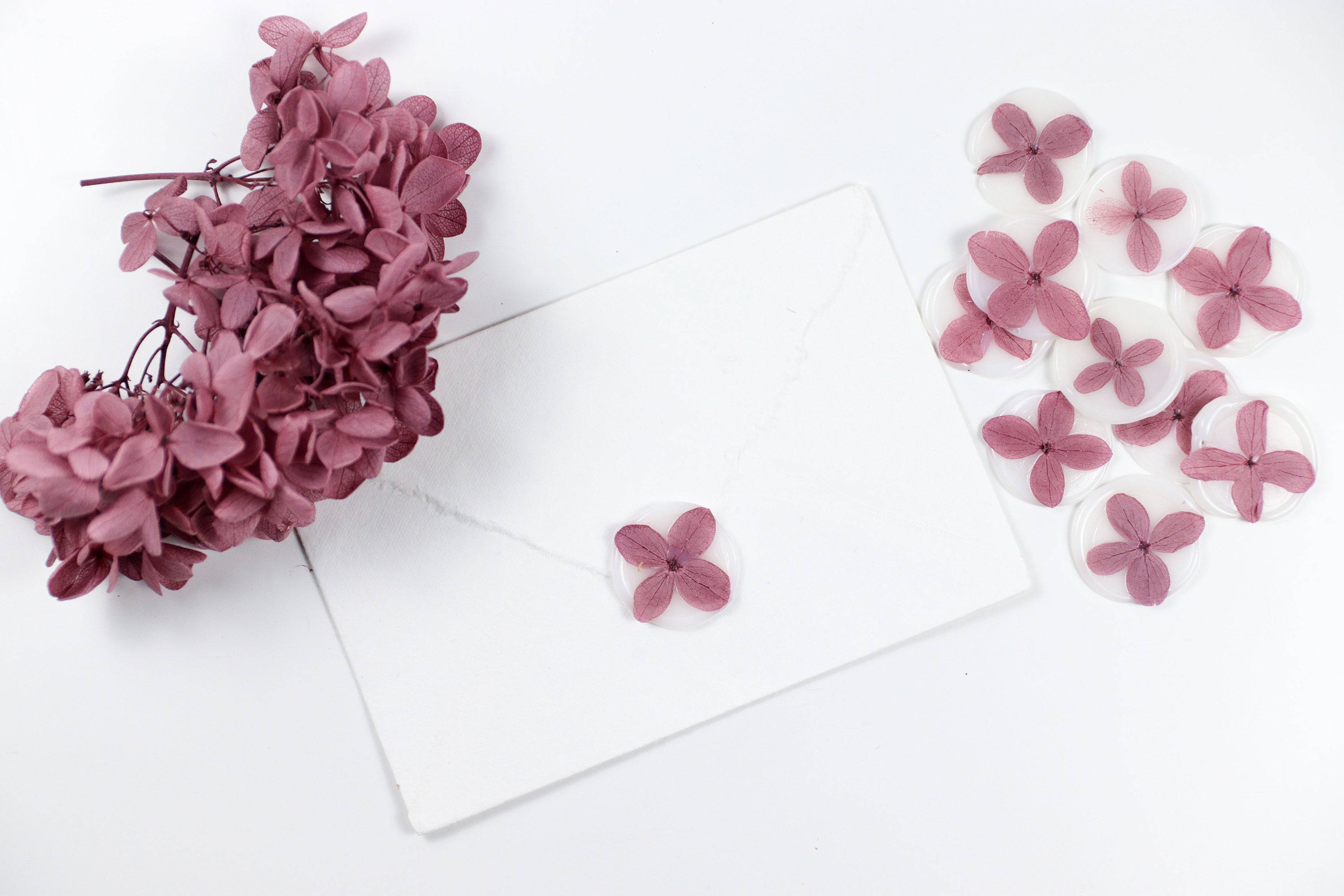 Hydrangea - Vintage