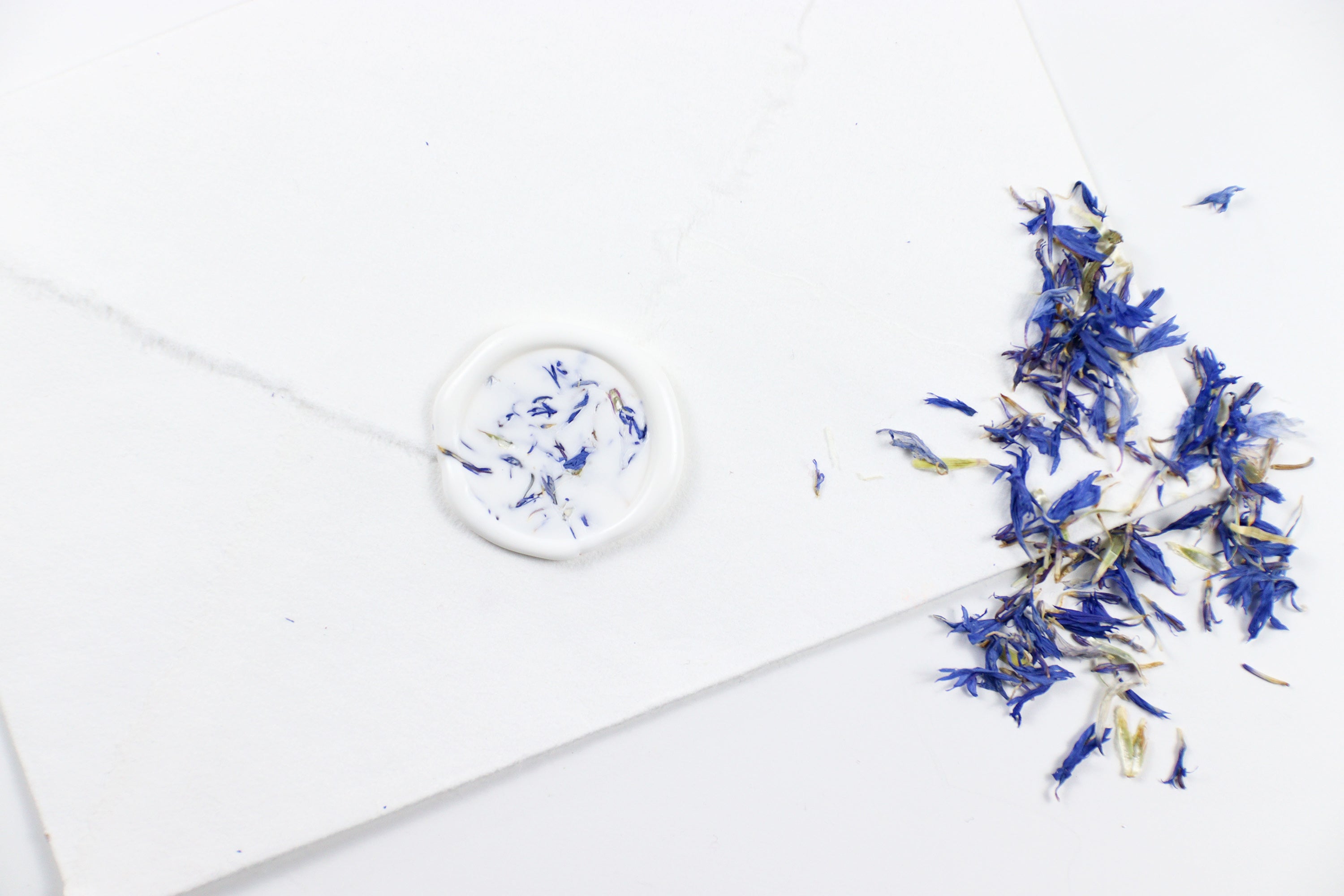 Blue Cornflower on White Wax