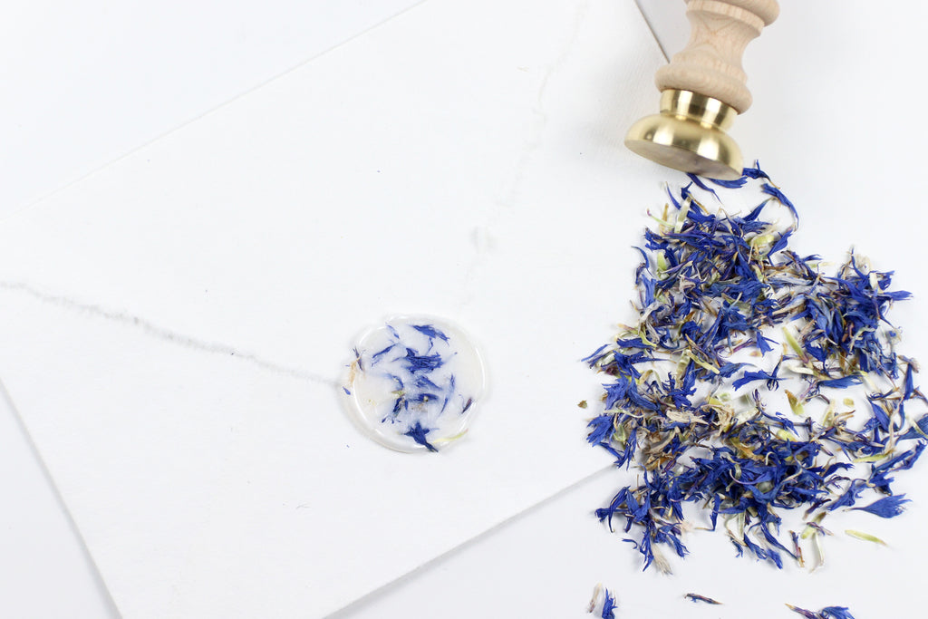 Blue Cornflower on Pearl Wax