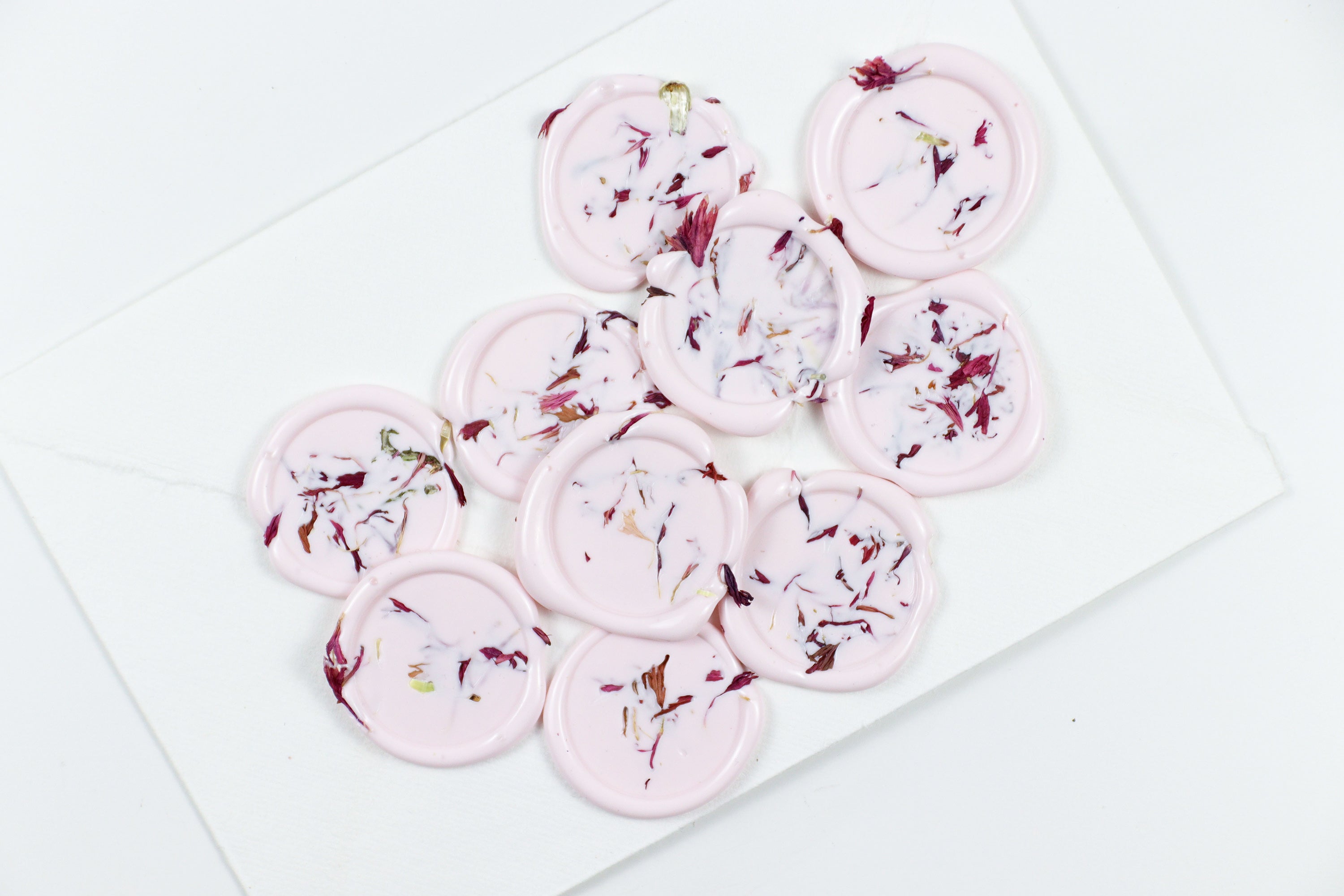 Pink Cornflower on Pastel Pink Wax