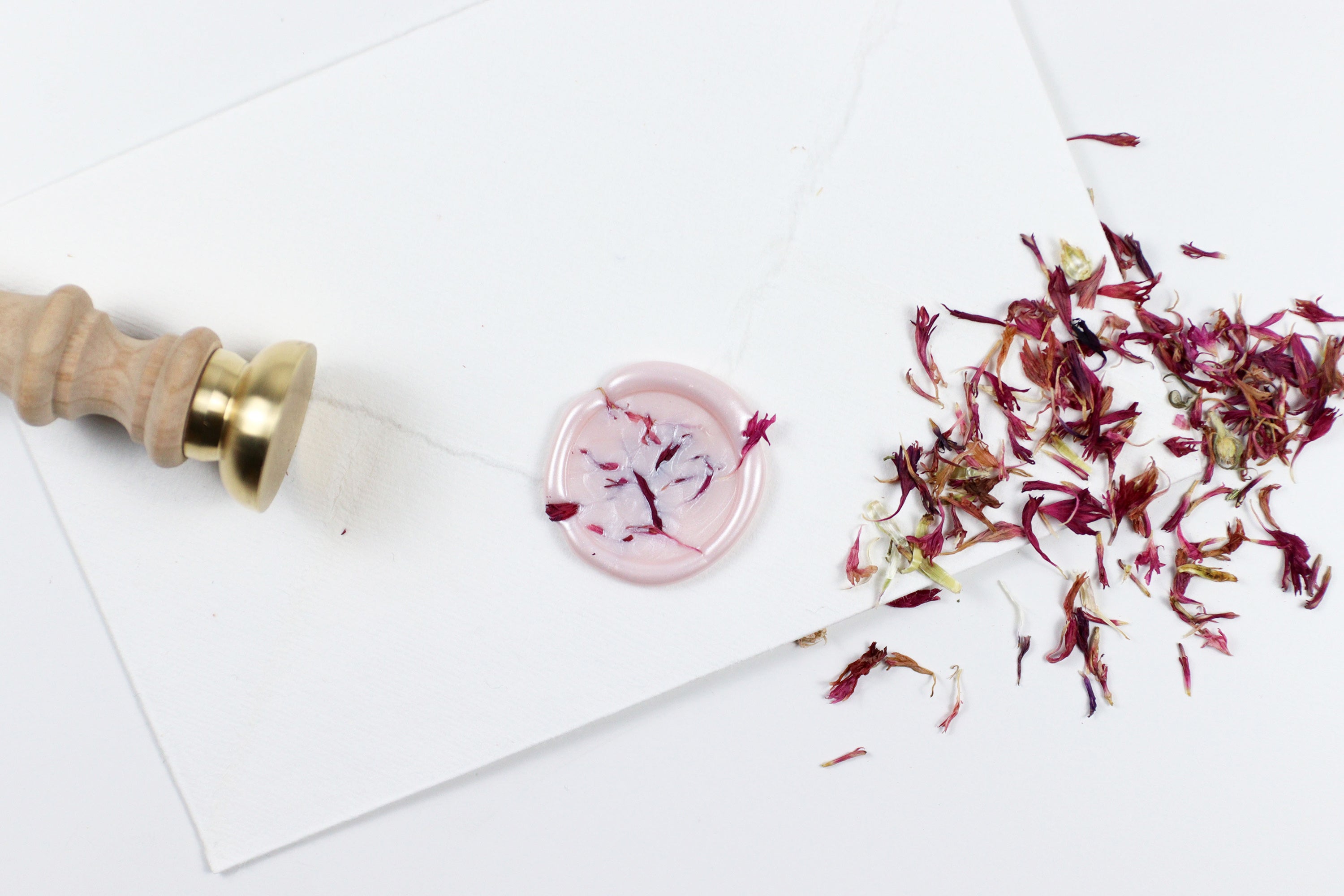 Pink Cornflower on Pearlized Pink Wax