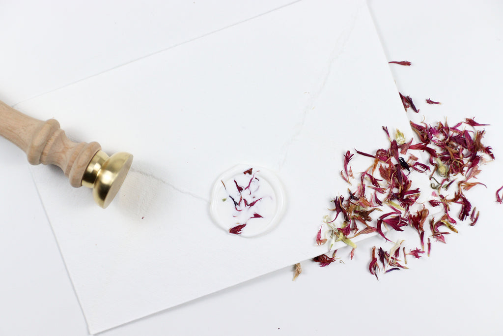 Pink Cornflower on White Wax