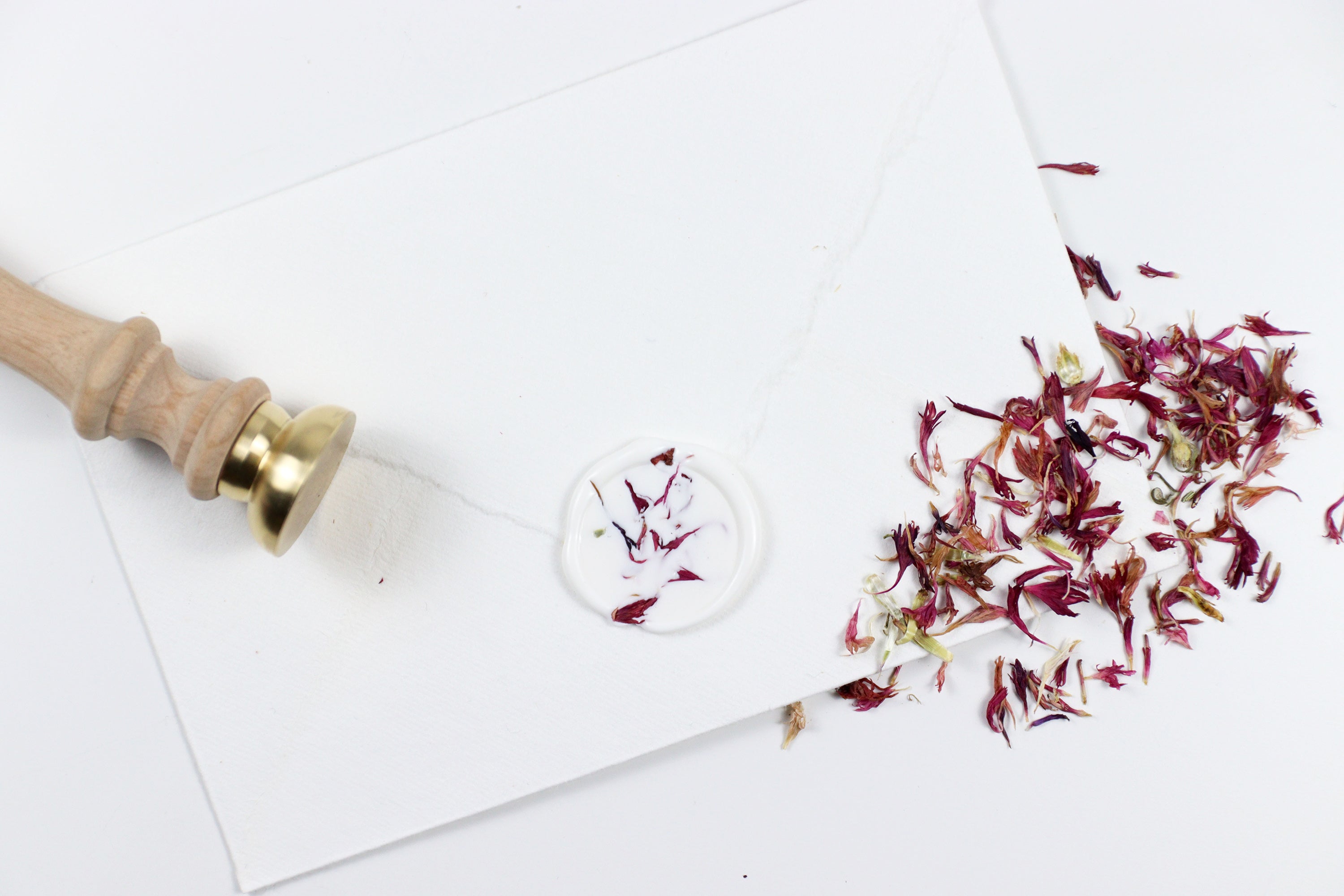 Pink Cornflower on White Wax