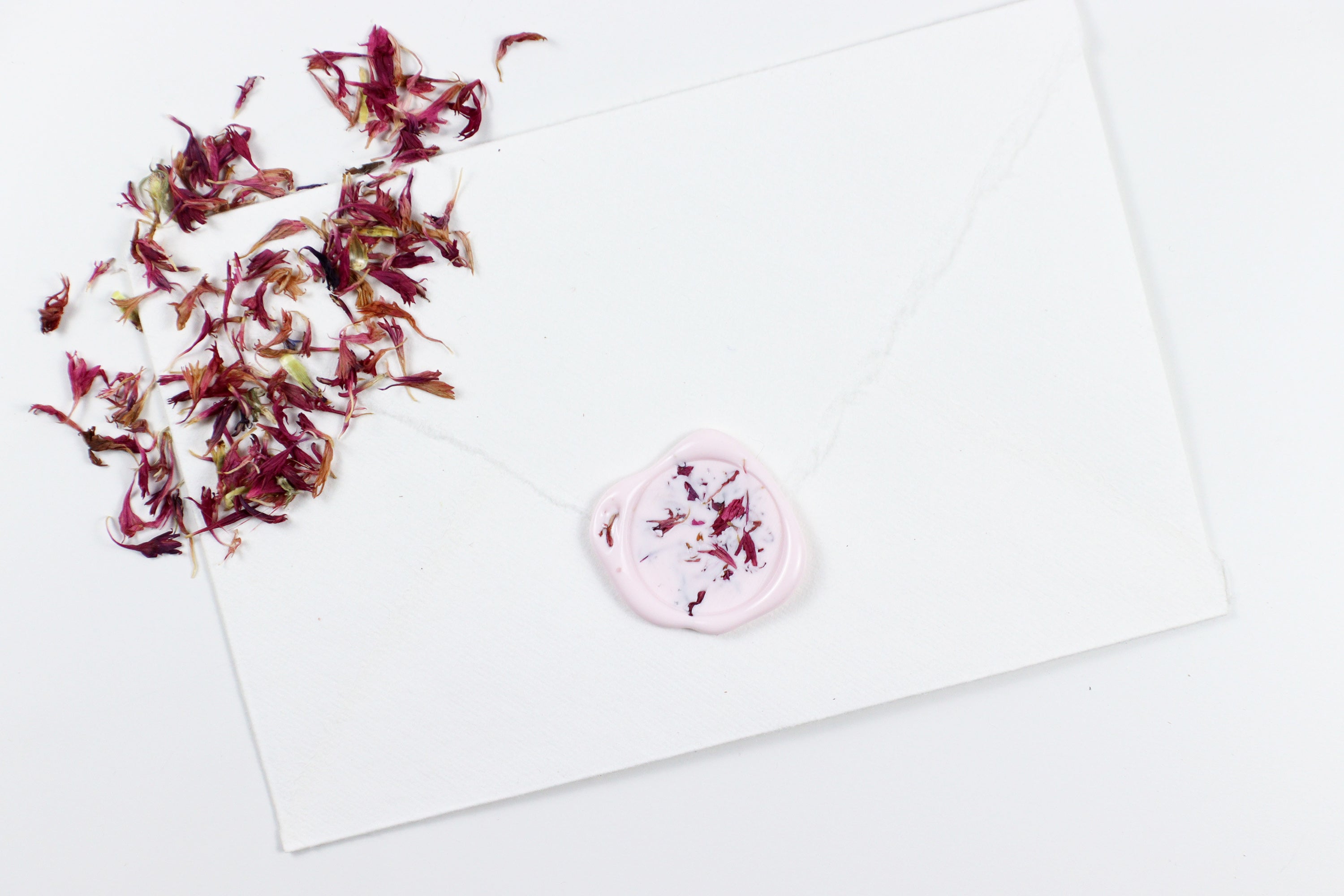 Pink Cornflower on Pastel Pink Wax