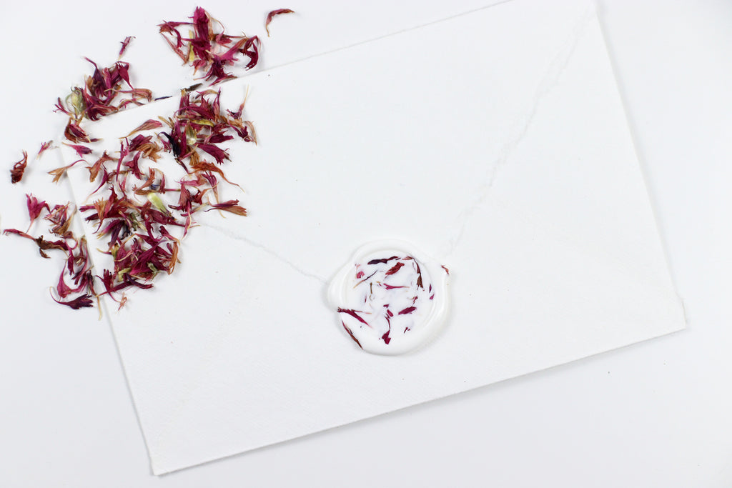 Pink Cornflower on White Wax