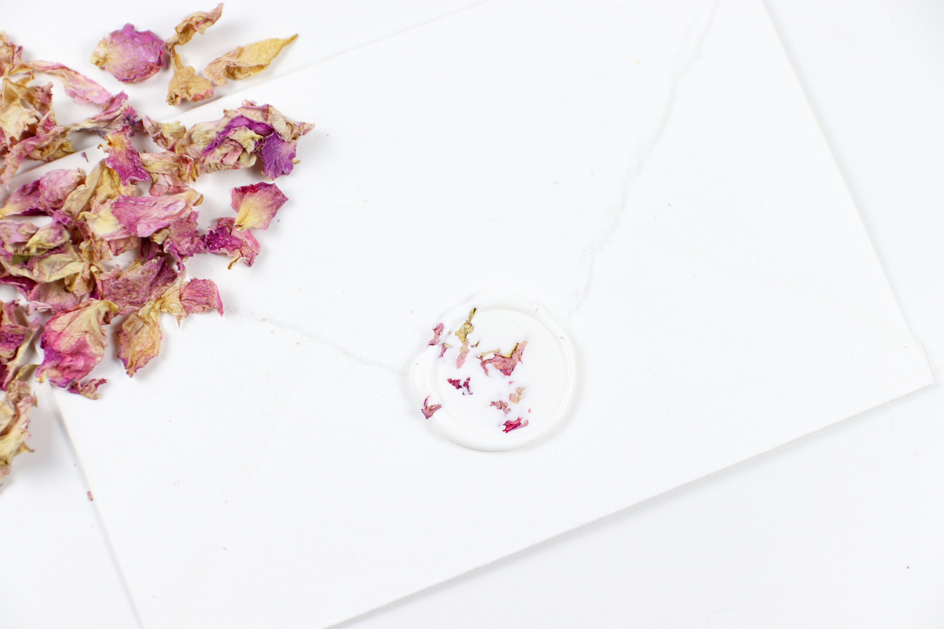 Pink Rose Petals on White Wax