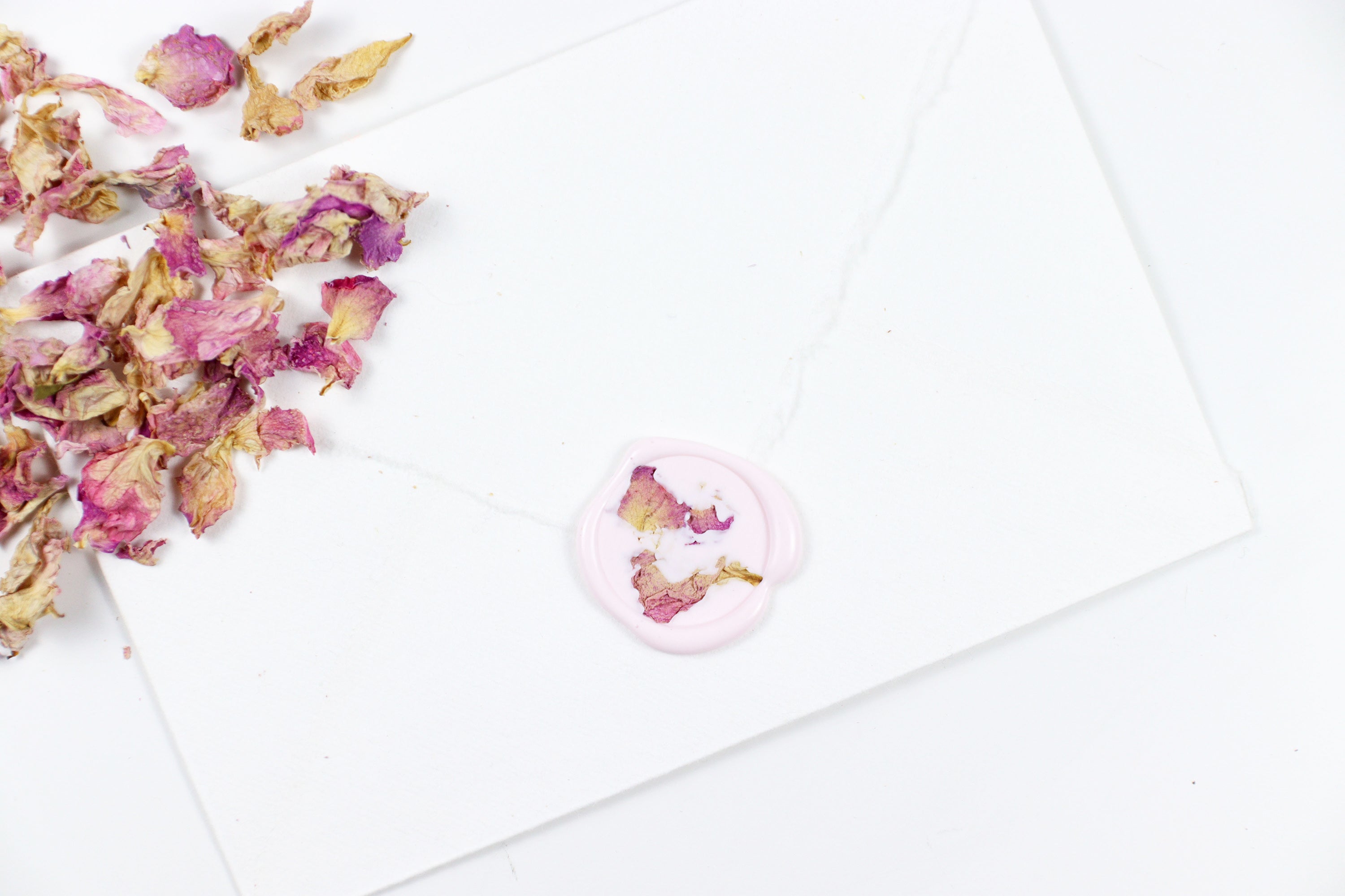 Pink Rose Petals on Pink Pastel Wax