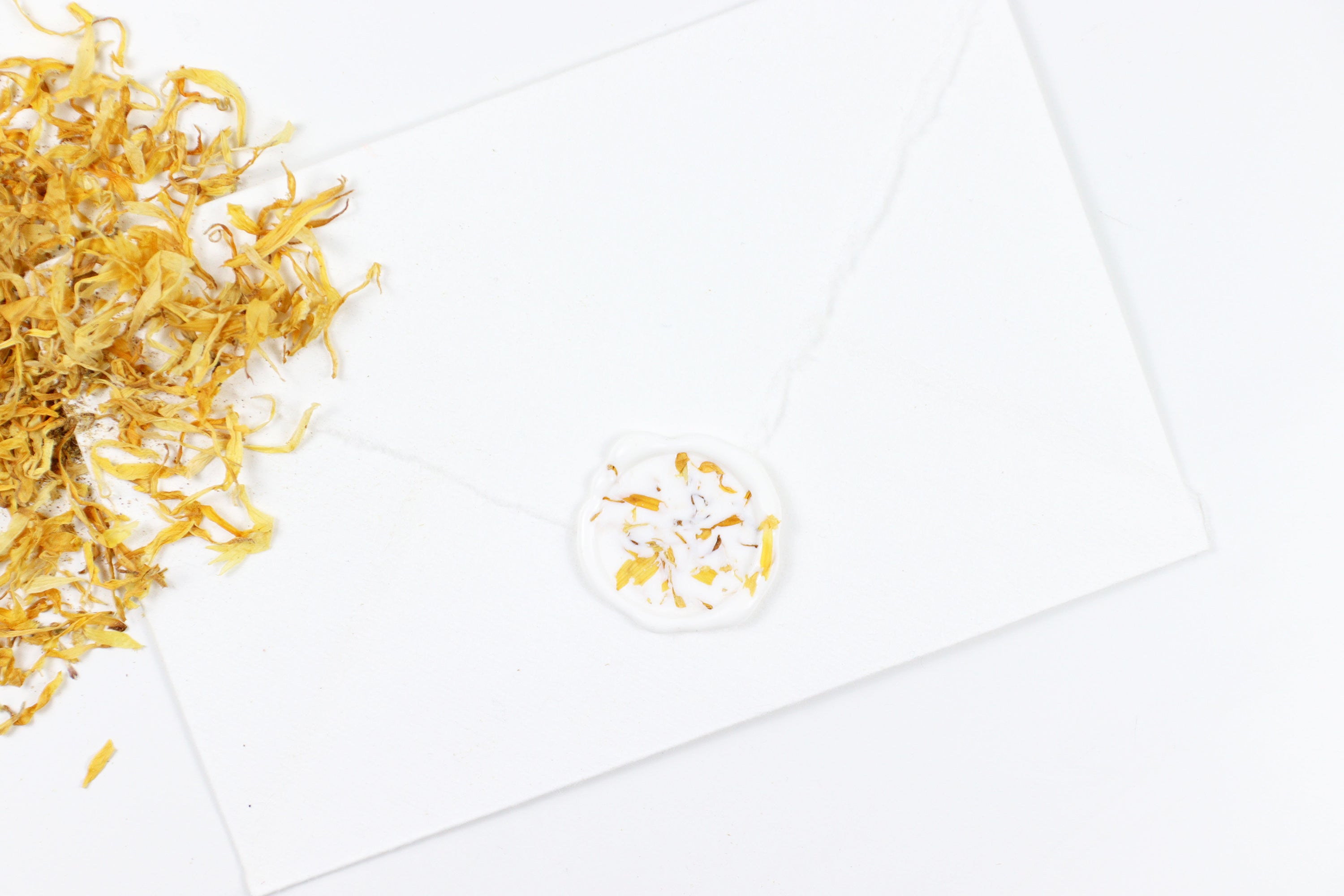 Yellow Cornflowers on White Wax