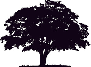 Custom Listing for Melissa Warnke