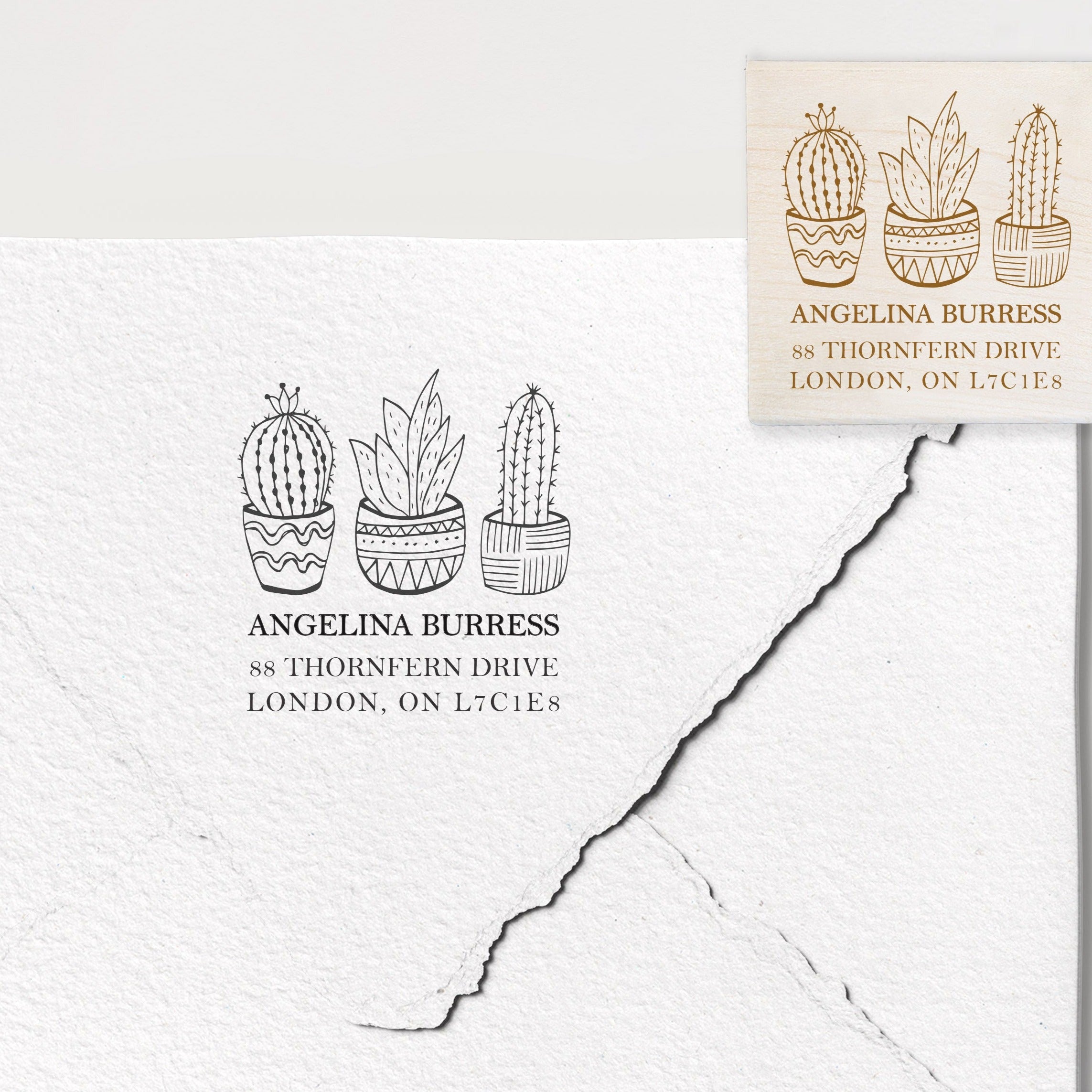 Succulents Address Stamp