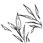 Wax Seal - Hand Drawn Leaves