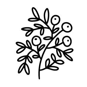 Wax Seal Stamp - Holly Branch with Berries