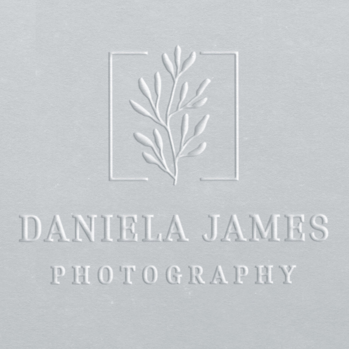 Logo Embosser Personalized Embosser Business Embosser Ladd Stamps