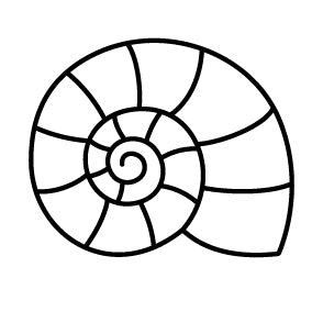 Wax Seal - Nautilus Shell