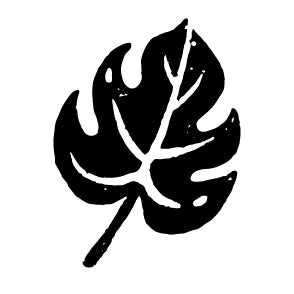 Wax Seal - Palm Frond