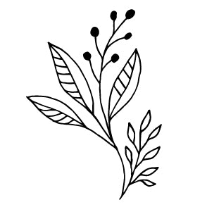 Wax Seal - Plant